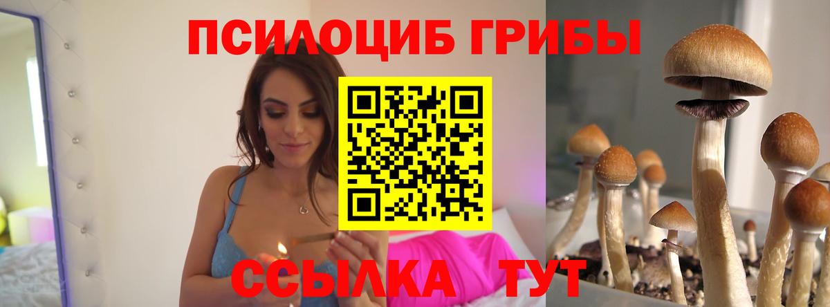 Сарапул  Псилоцибиновые грибы мухоморы  Вход с VPN 